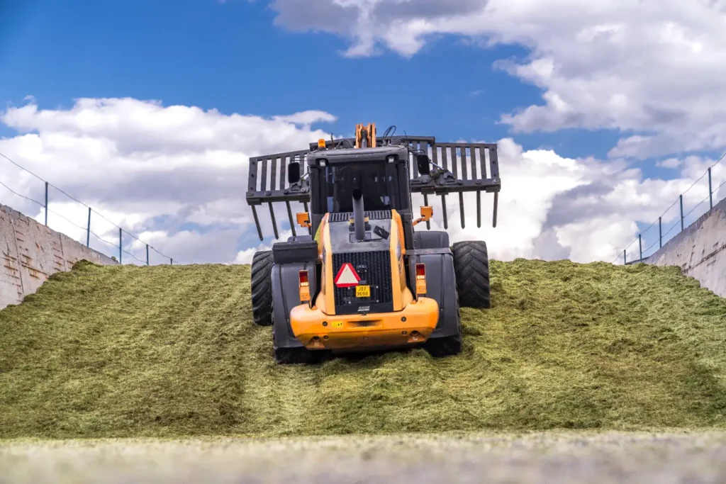 Traktor s vidlicemi na silážní hmotu na poli.